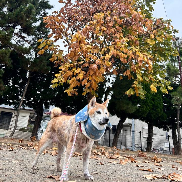 6169eec3 8c0b 4061 8b22 d8c1553bf4cd 1764040528355