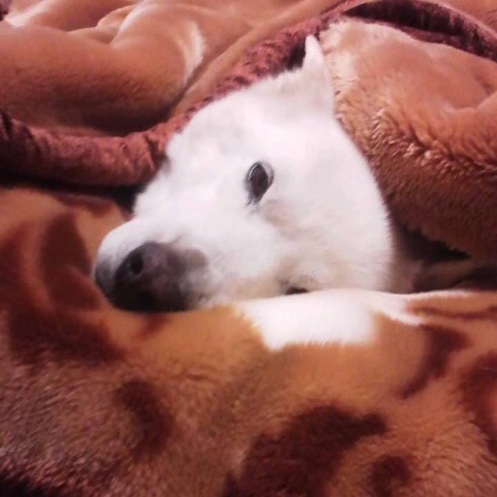 6169f9d2 93e2 479a 9584 aaab66994faf 1565794026340