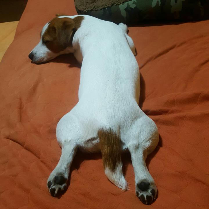 616a8b5f 276c 4322 9d20 62d794fe1314 1557758222829