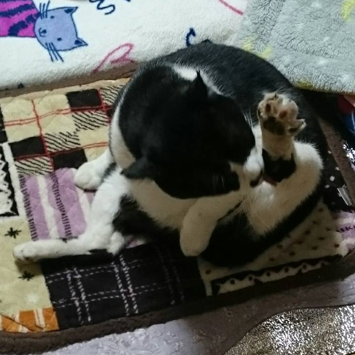 616aa1b7 501c 4065 9f43 46d035fa945c 1513120316646