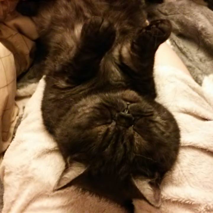 616ab428 ab06 48f2 89c9 d9b589371834 1526135900486