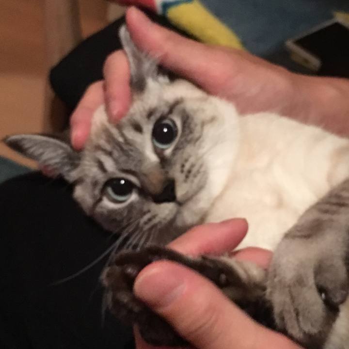 616ac646 7f16 4df8 9493 20108402807e 1547557357919