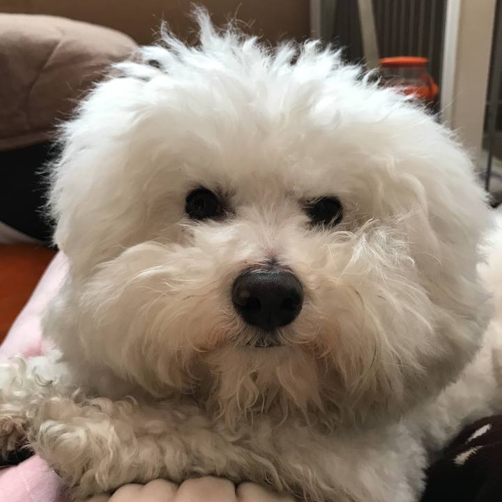 616ae828 ac70 47e9 a207 3a0916aaab3f 1553465950345