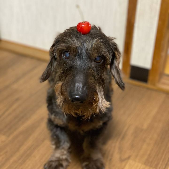 616af08b a9b5 4dfc b16c 4d0c950ebab4 1624282091104