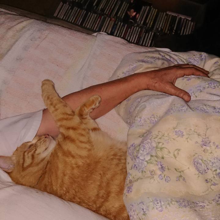 616b3a58 0b84 42bb a423 f804bee8af74 1660426331921