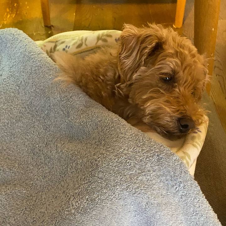 616b3afb 19be 4904 b17c 6f687118d5bf 1681861396204