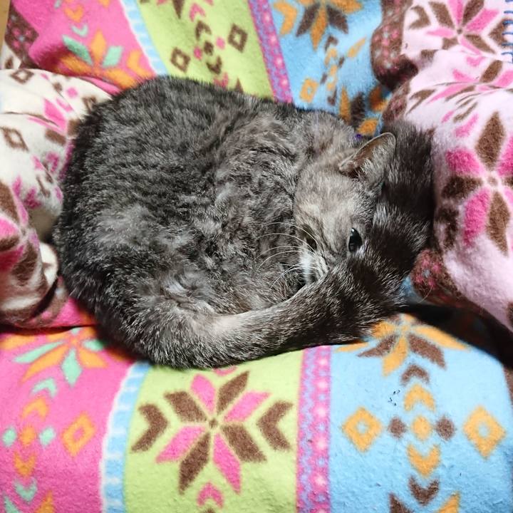 616b3cf3 4285 4d09 b207 81ac2cdb8d12 1584612915204