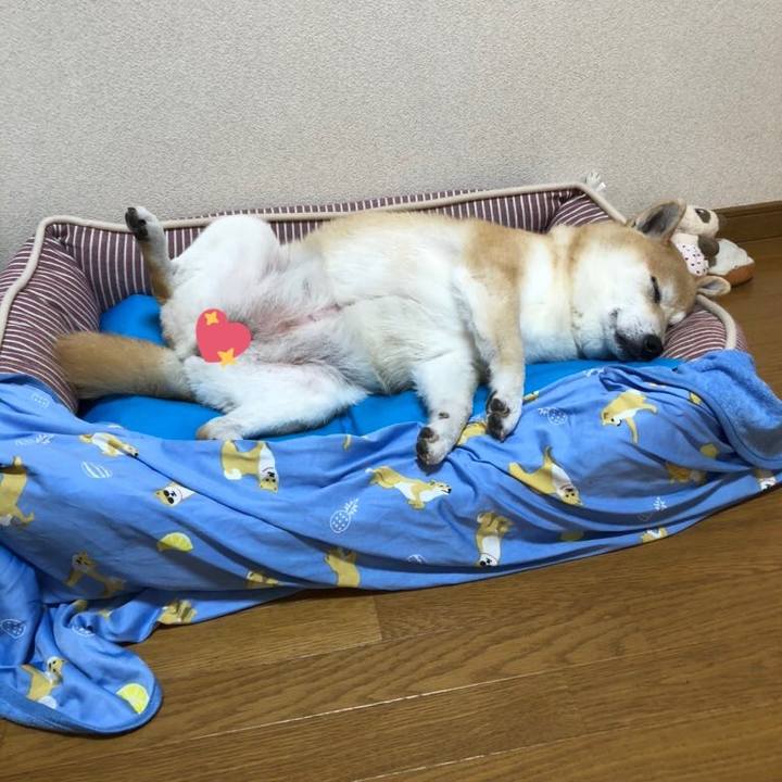 616b4ee8 f2df 4c0a a39d c6d956b533fc 1593045862761