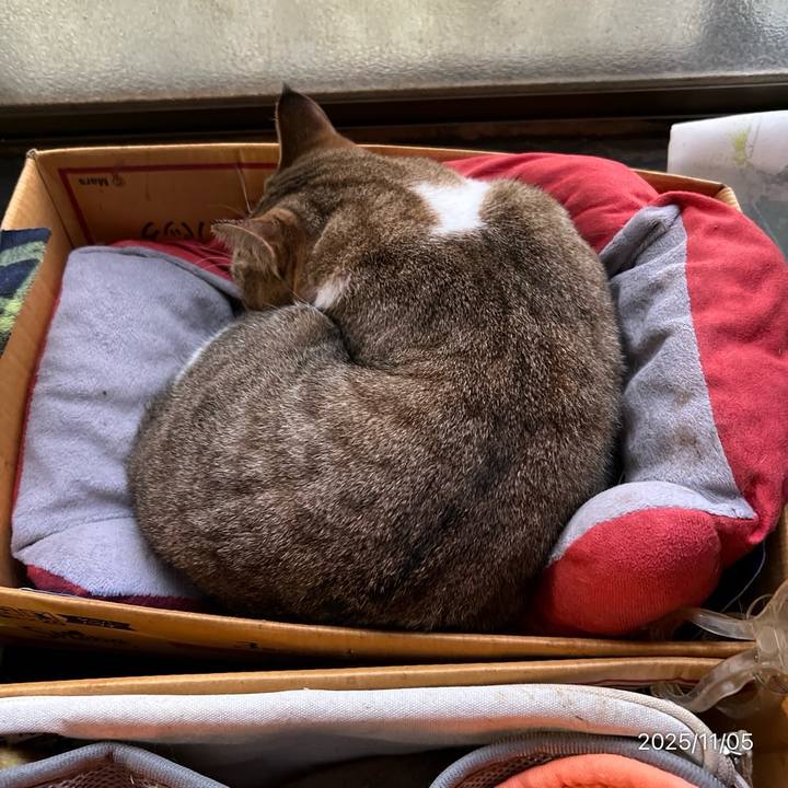 616b73a4 ee7e 4a77 93ec 66ad7cd5efea 1762293541287