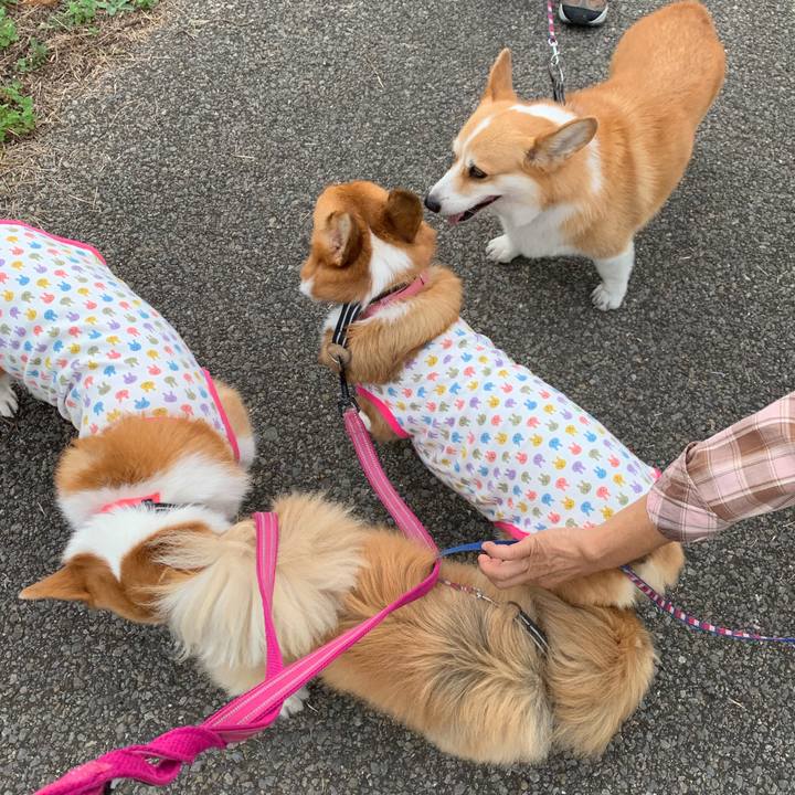 616bc8a2 445d 4017 8924 cc0705587235 1570082107240