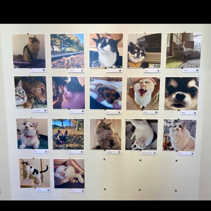 616bf0f9 247e 41e5 864a a845e922d0f5 1766134331575