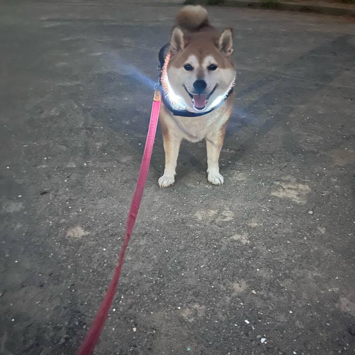 616c33cc a20d 4fc1 83ee 0baed6f54dc4 1690800470353