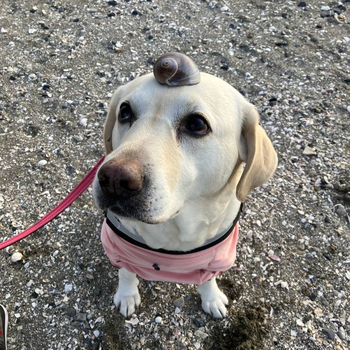 616c54af 581b 4439 9de1 6f0e96fc11ad 1674053078153