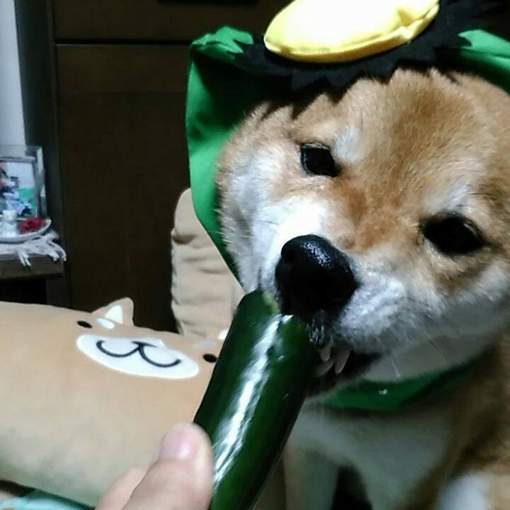 616c648d 00e6 4659 b57d 00f5703453f8 1528203952776