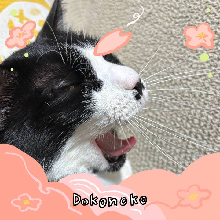 616cb2d6 7665 4a96 9b4e 947ec42360a7 1775273721981