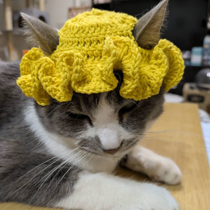 616cc17a 0121 470a 9863 a36da20e38bd 1773744121043