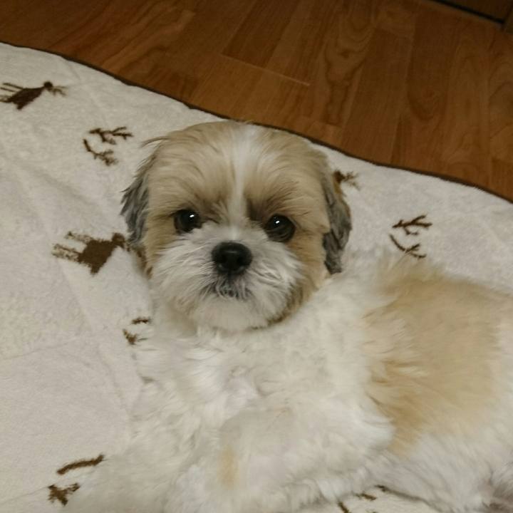 616d037e b673 4cd1 aeb9 9e7c917ea7d6 1534079147664