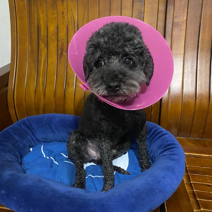 616d2e53 4054 4bb3 b670 d7e5ded4570d 1586241394585