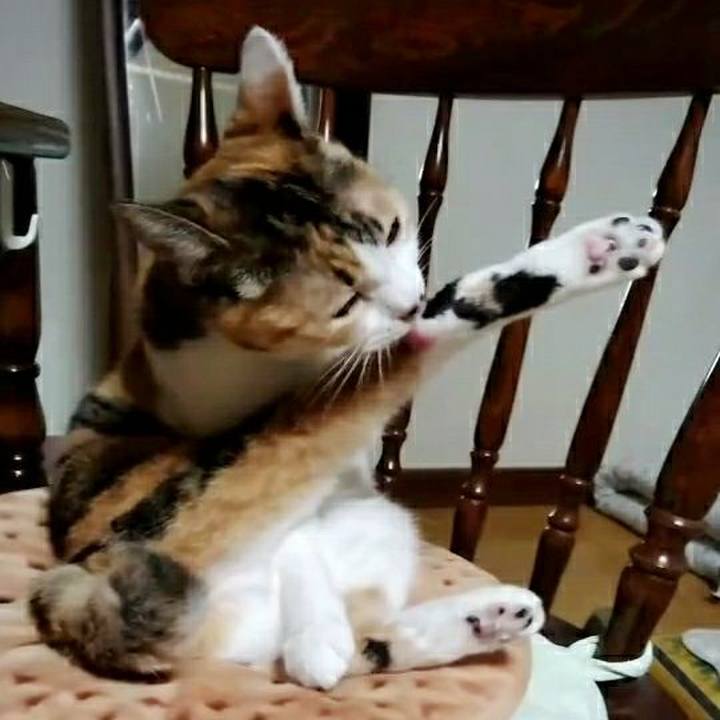 616d3017 c9d4 48b5 8c1e 1ad35fec6dc4 1617444483167