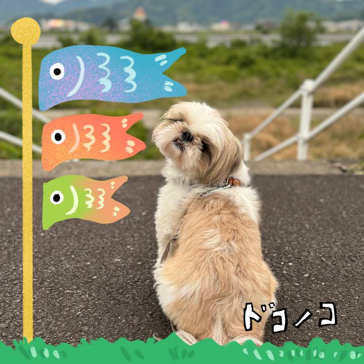 616d34a9 39cb 496a a371 0a9aa004be1a 1714904811567