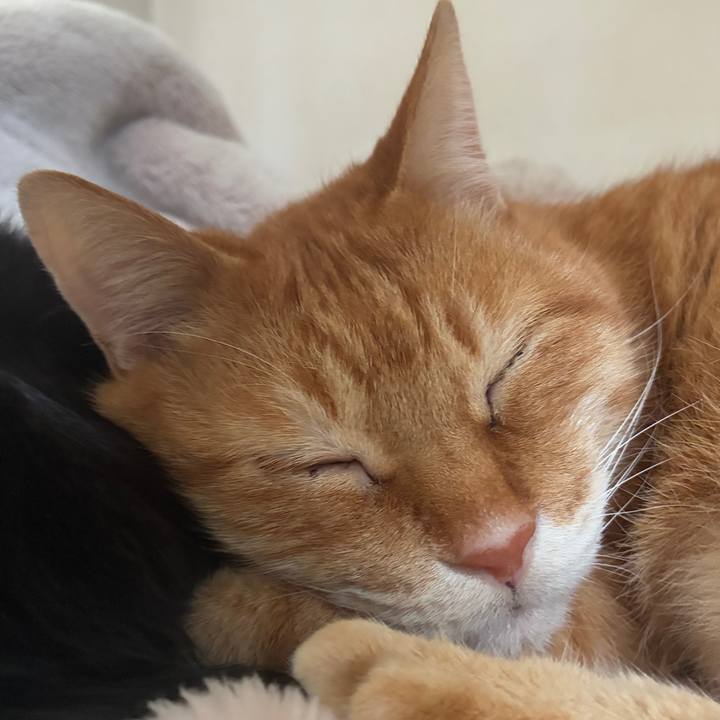 616d3593 3ad1 4f83 a666 e696b9f05df8 1767502274505