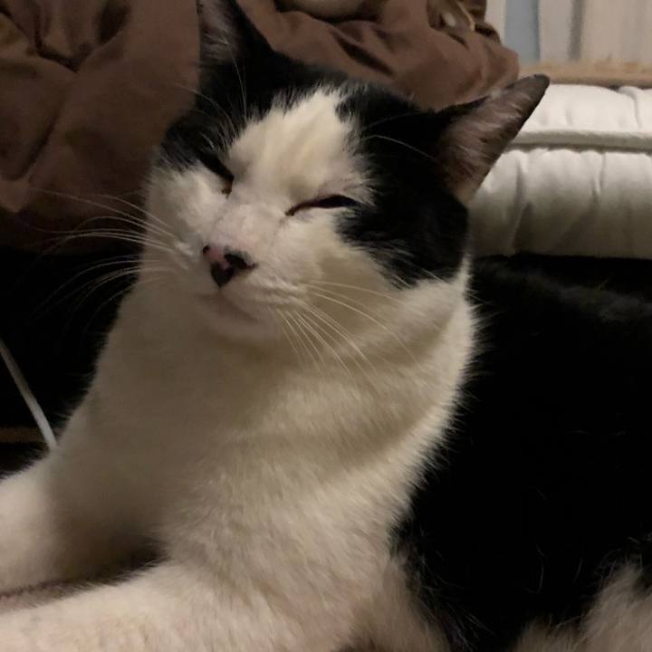 616d39fc 732d 4ce4 a5a7 074db93e1eaa 1550082891386