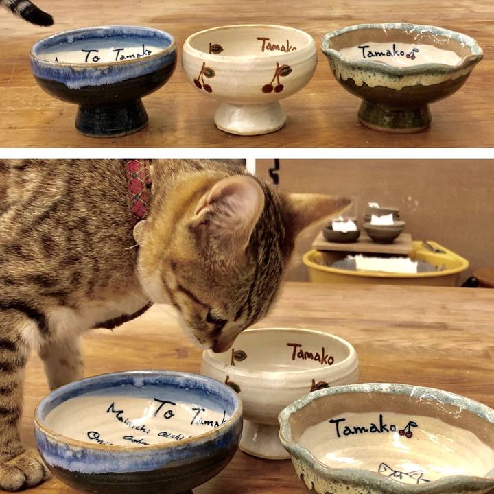 616d46e0 79ec 4f9a 8381 46e538652b84 1580533715980