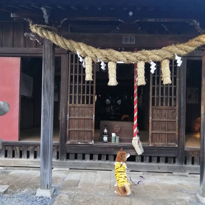 616d8bfc e4b1 494a 837f 2e9343e8420d 1641043060195