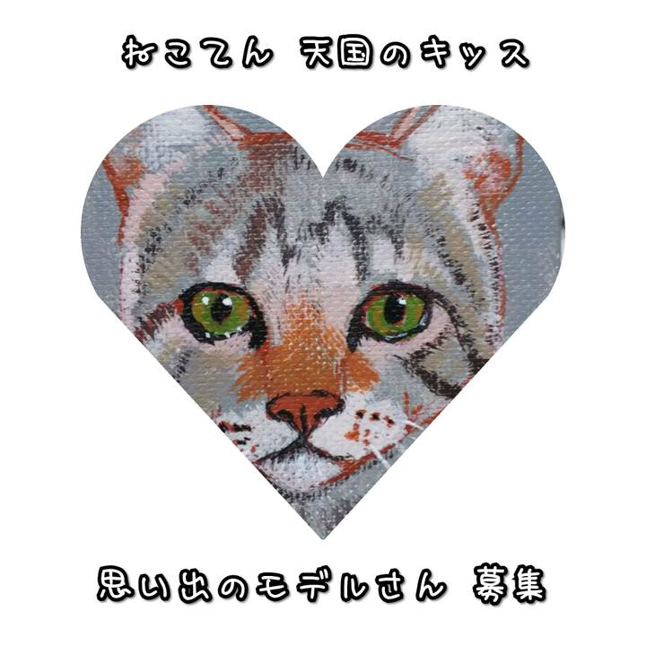 616daeb5 1b0f 4452 b752 ba86df23891d 1574421181208