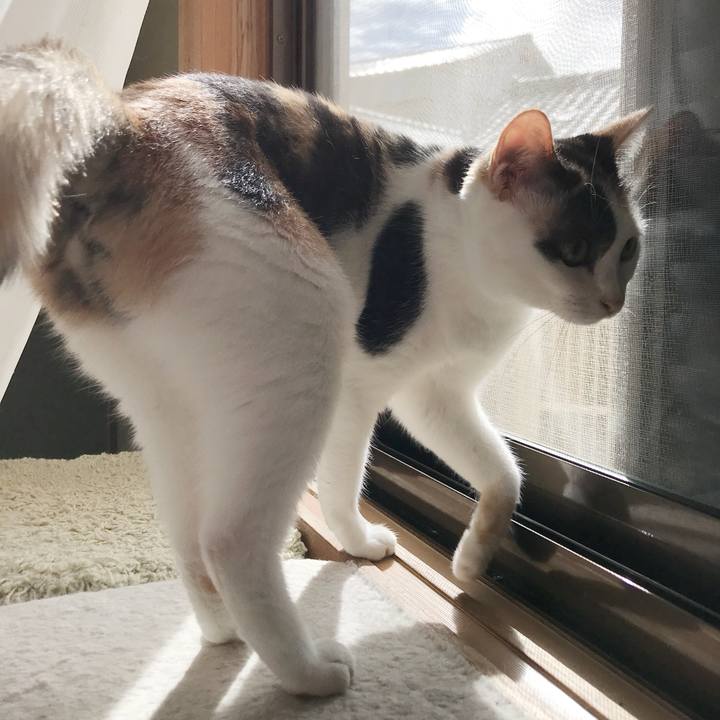 616dbce3 ee2a 4a4d 95ea bb9eb21c106b 1535330177987