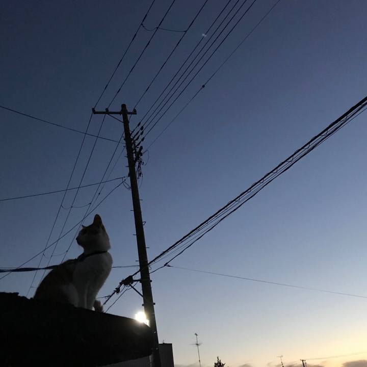 616dd981 f0a0 48c4 94a1 f123354ba217 1510481007924