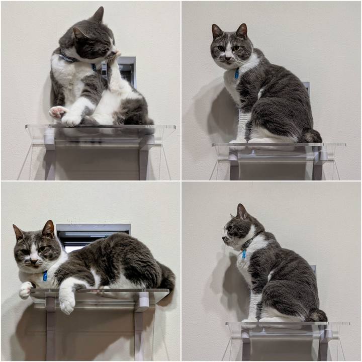 616de385 7240 4133 976d 8ce2958ea081 1749392760980