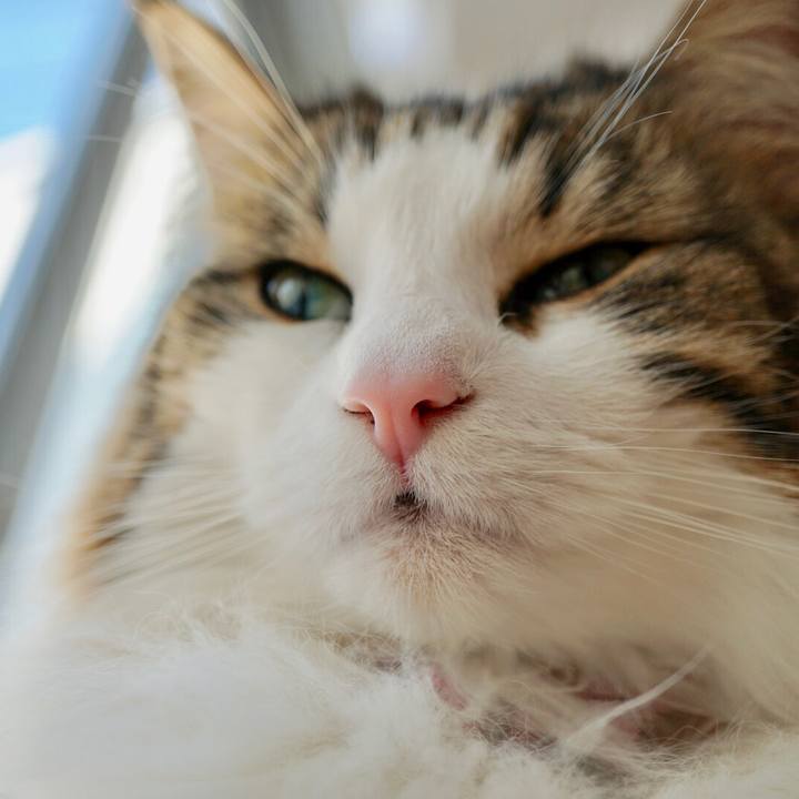 616de4a3 676e 4c4f a194 a29c3a61dd7b 1554352737699