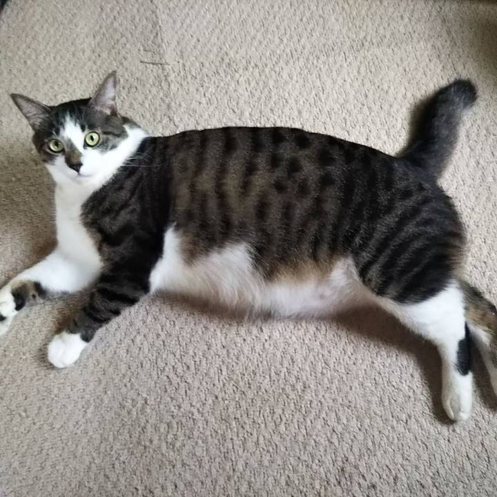 616de4f1 a895 4a7f 8086 9faa719d4de5 1602154075417