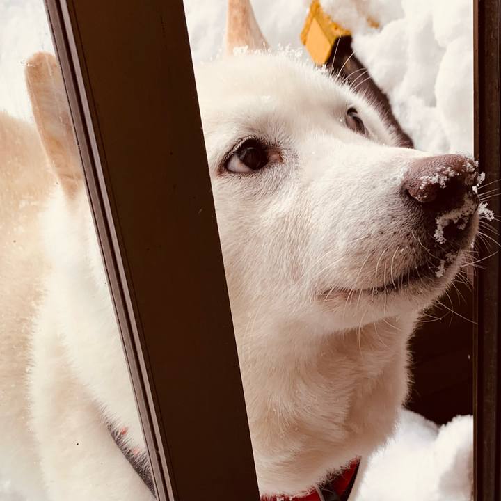 616df6fb a0cb 469b b8b4 fbfe1b3a93c7 1643877863394