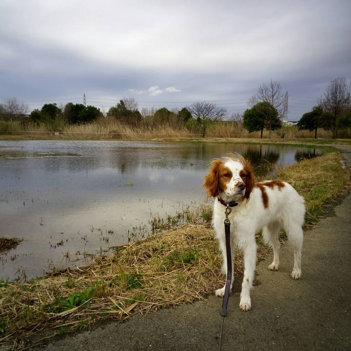 616e10cc 8956 4a22 ae21 a3af72bd1608 1521622952712