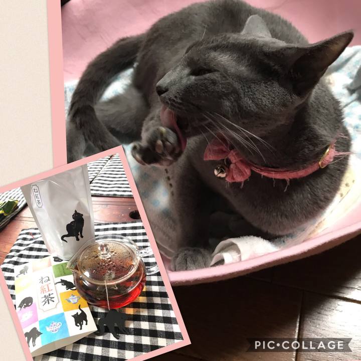 616e3541 87c8 46be 957a 575467f64a86 1561295342712