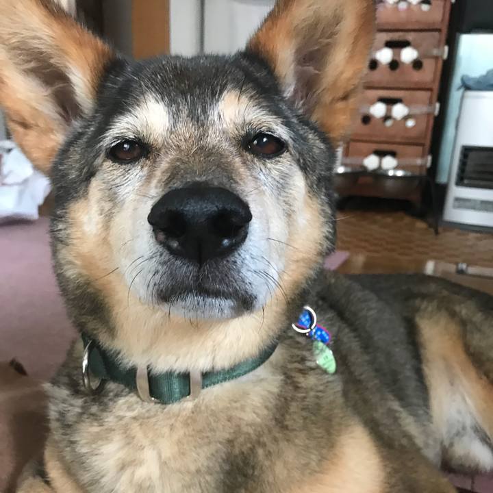 616e4839 fa7e 4b5f 9895 4f02be10fb54 1528283865421