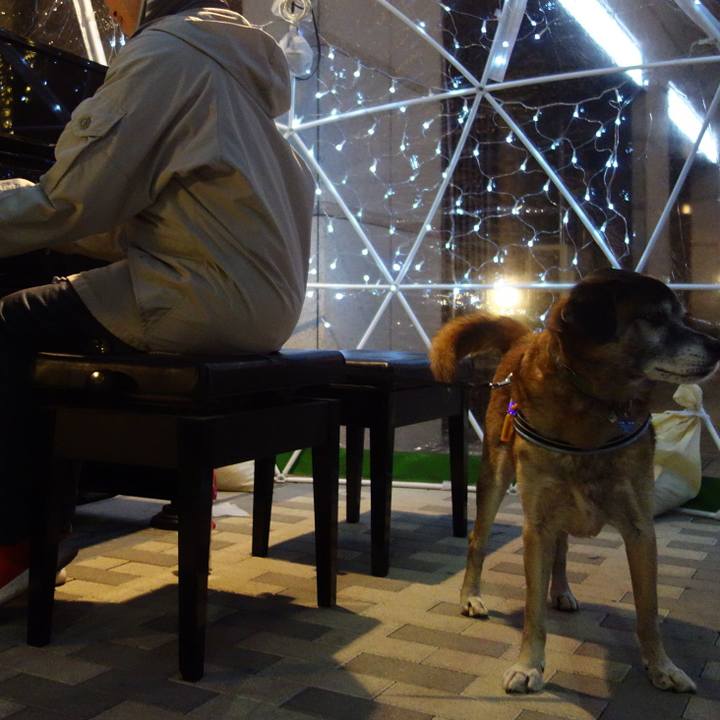 616e59f1 7d72 4135 ba6e dbe7573fbc2a 1545392351146