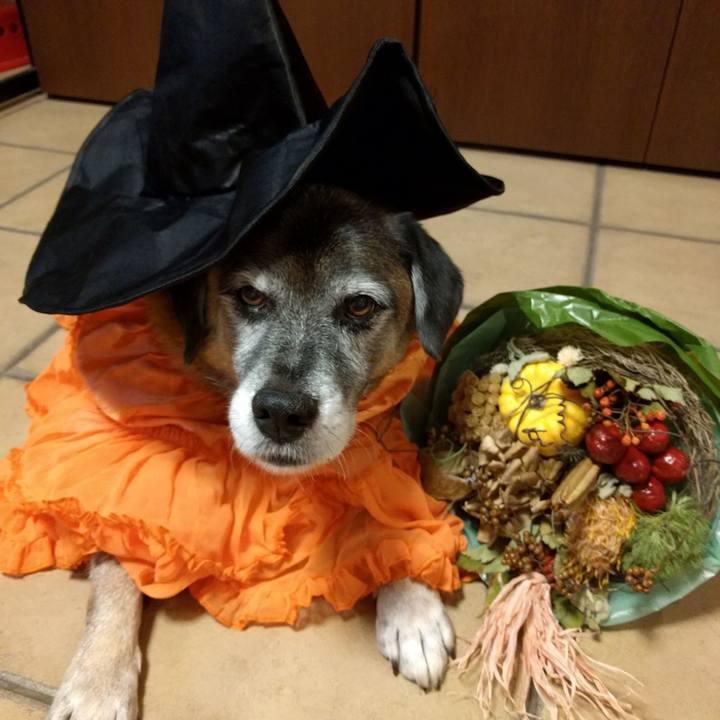 616e6515 cc01 4ff1 9f87 5147f7bfdfa8 1729901499826