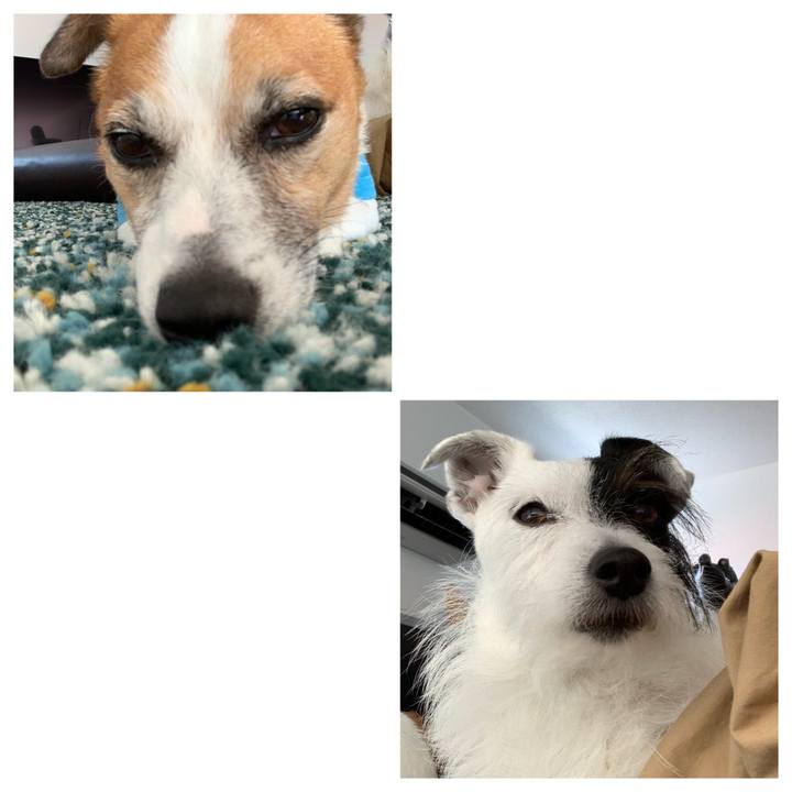 616e67a0 419e 452e b6e4 ef2a9e36f617 1623480264136