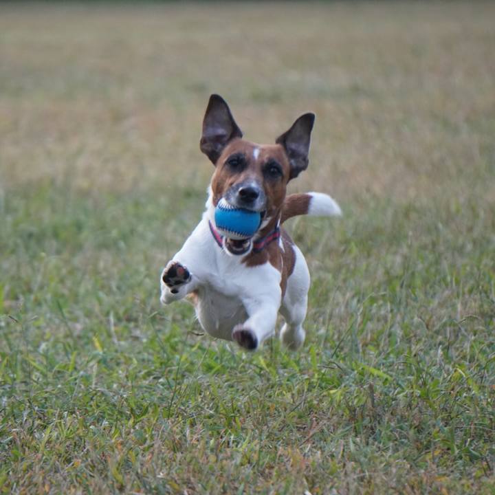 616ec804 3d7e 4b53 9648 46bbd5de34c2 1540507741618