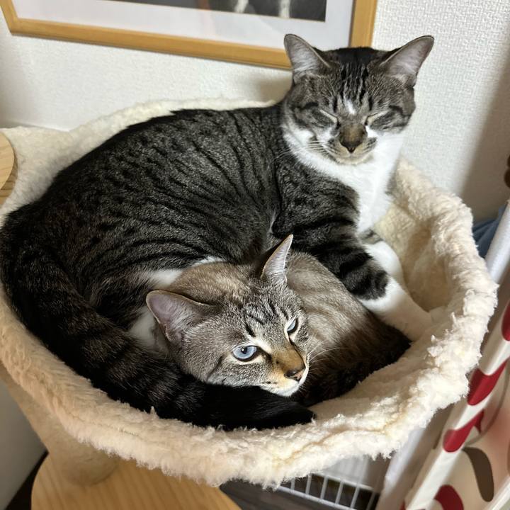 616eedf8 bacf 48dc b540 dfb2eacd3006 1669721593495