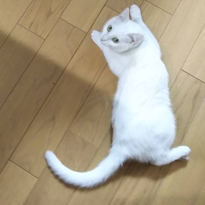 616f4024 8e29 4efe 9b83 e2a736d1773b 1640036340794