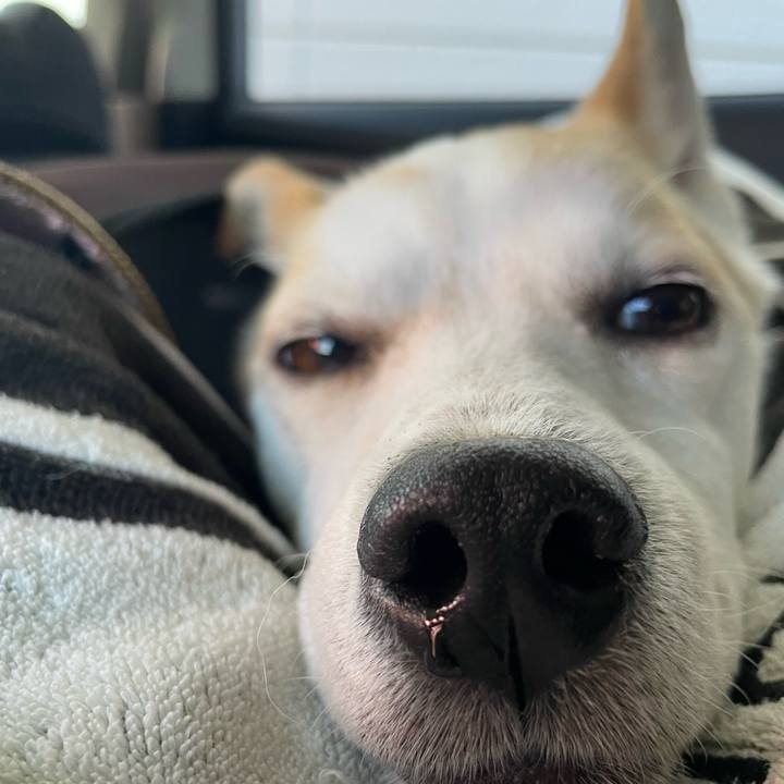 616f5fc1 4350 4b14 945b 42ec74664d7f 1681262662744