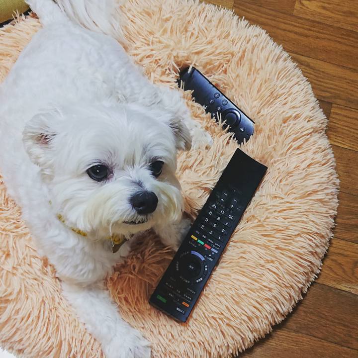 616faeaf fe2d 40a2 a2c8 598842973104 1623244192659