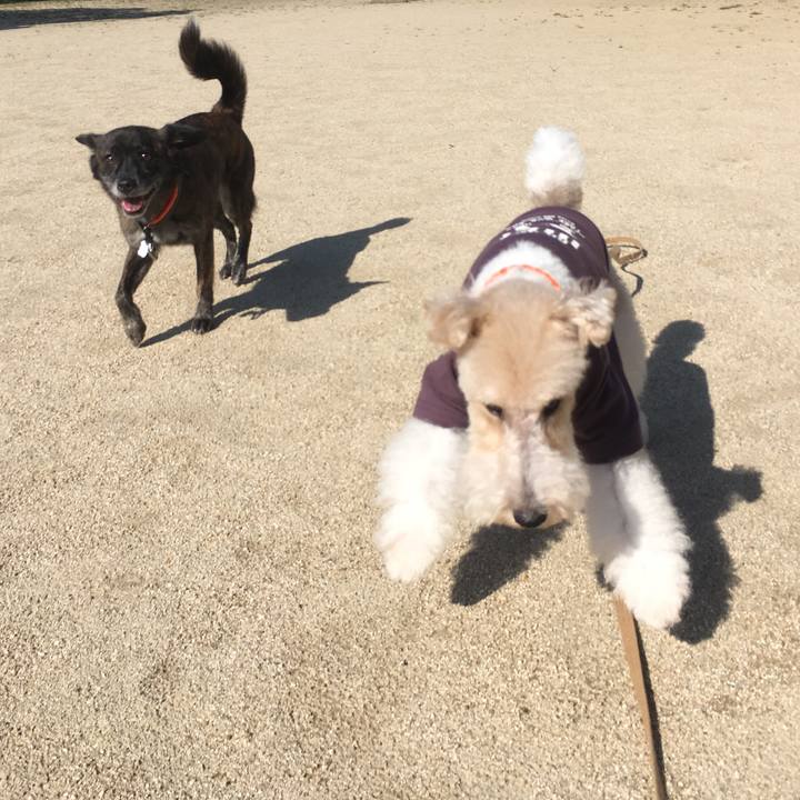 616fc3a2 1925 417d b85b e7c56e164304 1537877254229