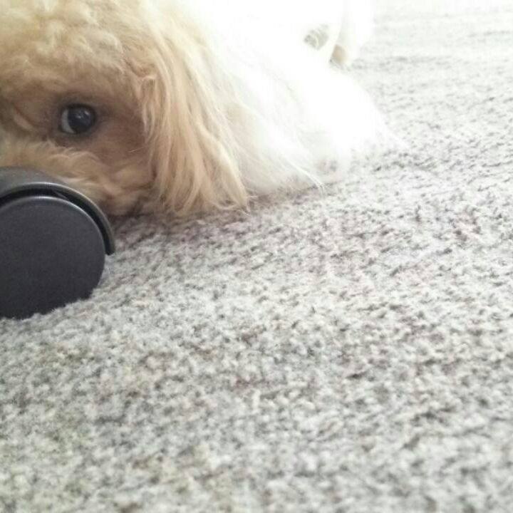 616fd4d0 1088 45b6 9a33 7b5307e91489 1537447736903