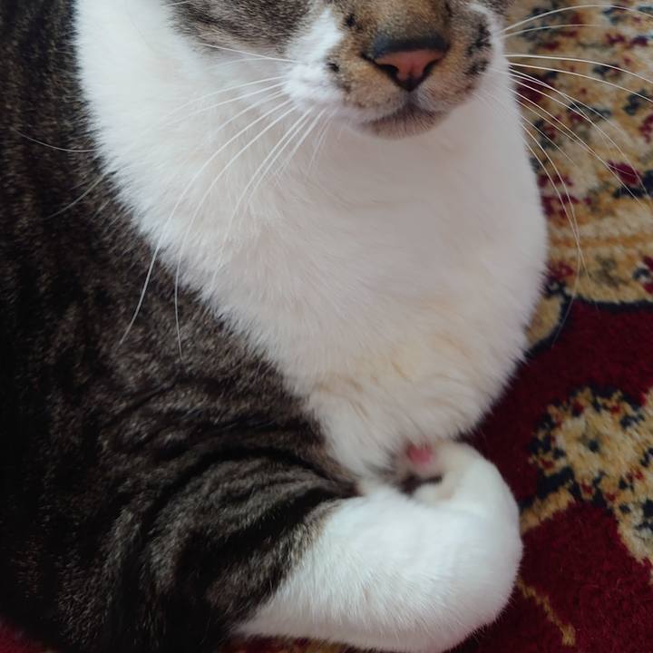 61702538 a1a8 4250 b769 0fa9738f0a12 1675759398319