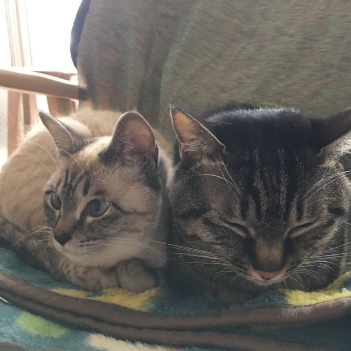 6170a54c fad8 4956 9f1d 94c4e168ea4f 1550806028426